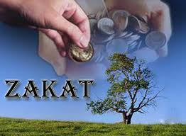 Zakat Funds Collect 15 Million Euros in 2011, Official