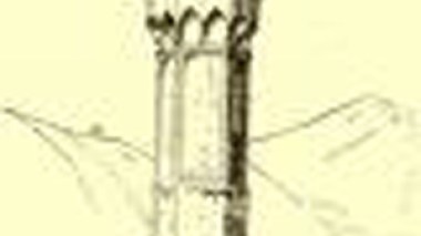 Crise de Minarets : Réactions au referendum en suisse