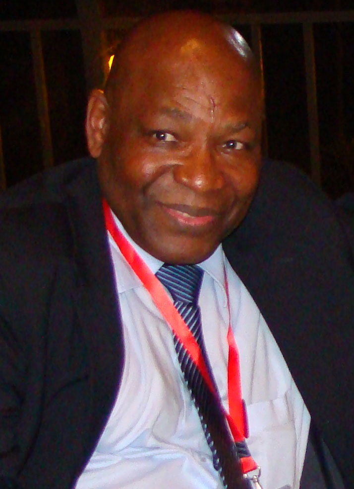 FIFA's official: I'll send a good report to Blatter