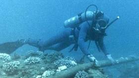 تاكلوا الكااابل؟ آآه‮!‬