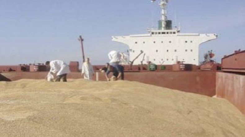 الجزائر تطرح مناقصة لشراء 50 ألف طن من القمح الصلب