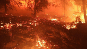 قمامة في القمة