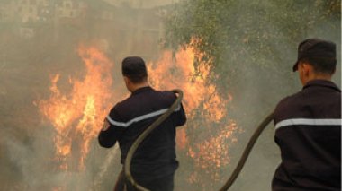168 incendies à travers 12 wilayas haussent la température à plus de 40 degrés