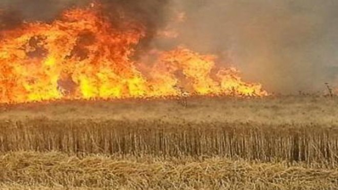 انفجارات ألغام تصاحب حرائق غابية في الطارف