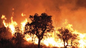 جزائريون تحت اللهيب..