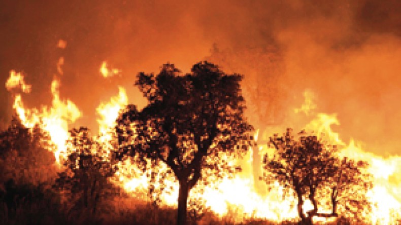 جزائريون تحت اللهيب..