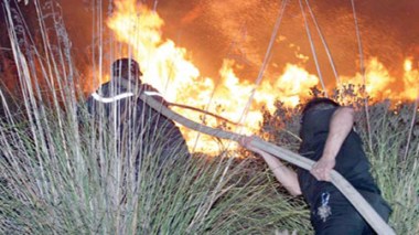 Feux de forêt : 18 incendies dans 14 wilayas