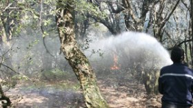 الإرهابيون يحرقون الغابات للإفلات من تمشيط وملاحقات الجيش