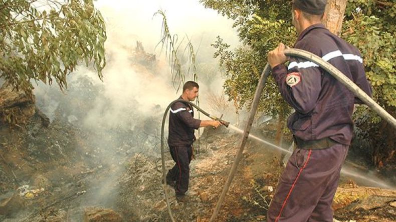 الحماية المدنية تستحدث جهازا جواريا لمرافقة الفلاحين