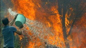 الحكومة تنشئ صندوقا لتعويض زبائن الشركات المفلسة