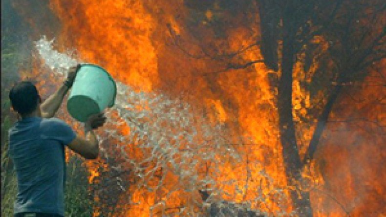 الحكومة تنشئ صندوقا لتعويض زبائن الشركات المفلسة