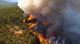 وضع خط أحمر للوقاية من حرائق الغابات