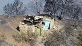 بدوي: التعويض عن خسائر الحرائق تتخذه اللجان الولائية