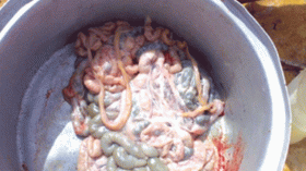 حجز قناطير من الأمعاء الفاسدة الموجهة إلى صناعة النقانق