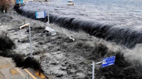 يوم الثلاثاء الدامي