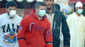 أنفلونزا الخنازير تقتل 24 جزائريا وتصيب 476 آخر