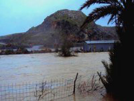Inondations à El Tarf : une 3ème victime repêchée