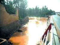 Intempéries dans le Sud : cinq morts et trois disparus