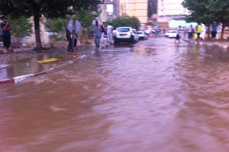 Les intempéries font des dégâts humains et matériels dans plusieurs wilayas