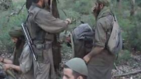 الإرهابيون يؤممون محاصيل الزيتون بالكلاشينكوف ويحرمون عشرات العائلات من مصدر رزقها