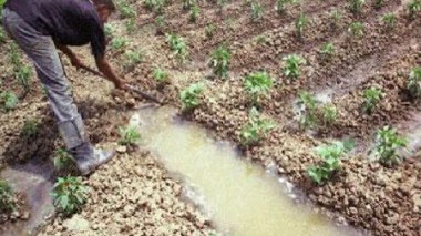 Irrigation par les eaux usées : 33 affaires dans 10 wilayas