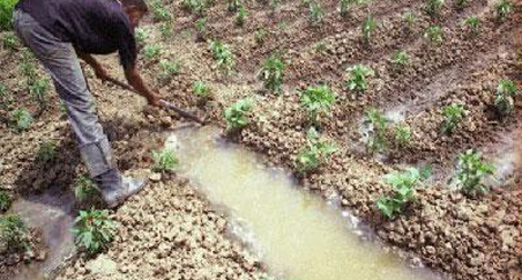 Irrigation par les eaux usées : 33 affaires dans 10 wilayas