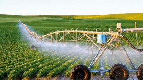 هل يمكن للمؤسسات الوطنية تحقيق صناعة غذائية في ظل التحديات الكثيرة لقطاع الفلاحة؟