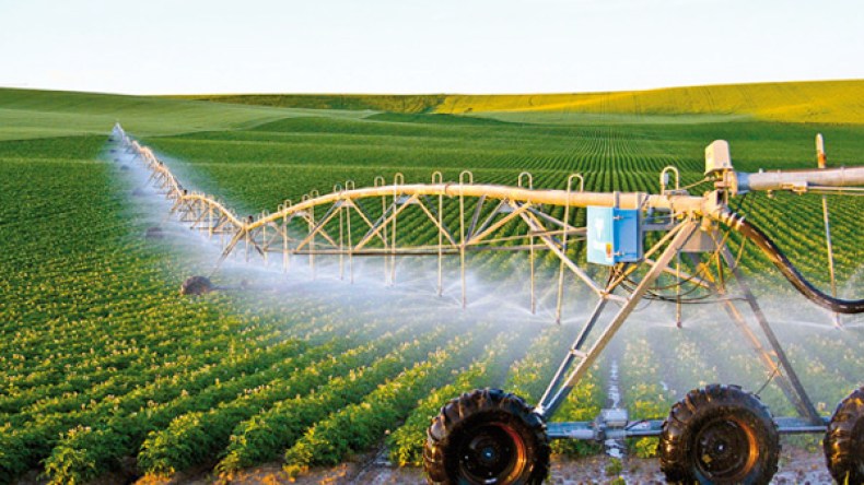 هل يمكن للمؤسسات الوطنية تحقيق صناعة غذائية في ظل التحديات الكثيرة لقطاع الفلاحة؟