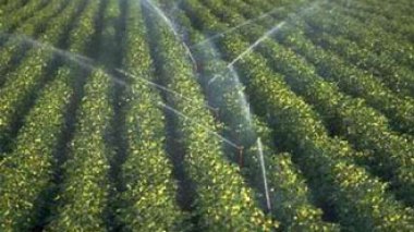 Agriculture: lancement du dispositif de soutien des projets d'irrigation économiseurs d'eau