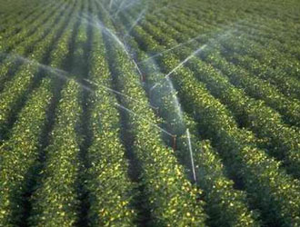 Agriculture: lancement du dispositif de soutien des projets d'irrigation économiseurs d'eau