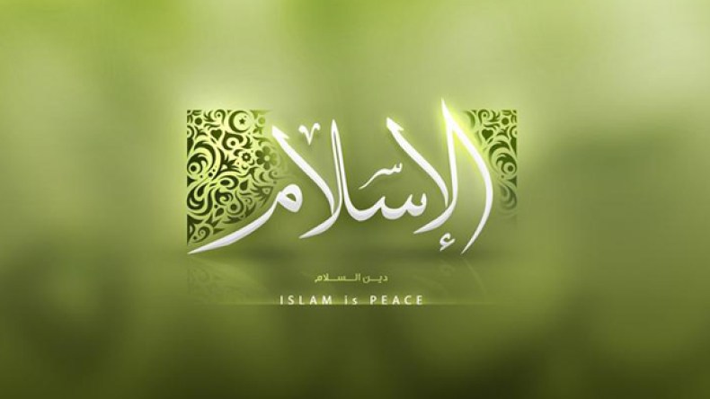 عناد ومكابرة .. أو إذعان وتسليم؟!