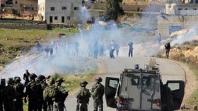 إسرائيل تعتقل 8 فلسطينيين في الضفة
