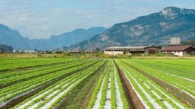 30 ألف وظيفة للجزائريين في إيطاليا