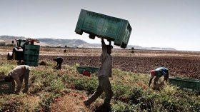 30 ألف “وظيفة” للجزائريين في إيطاليا