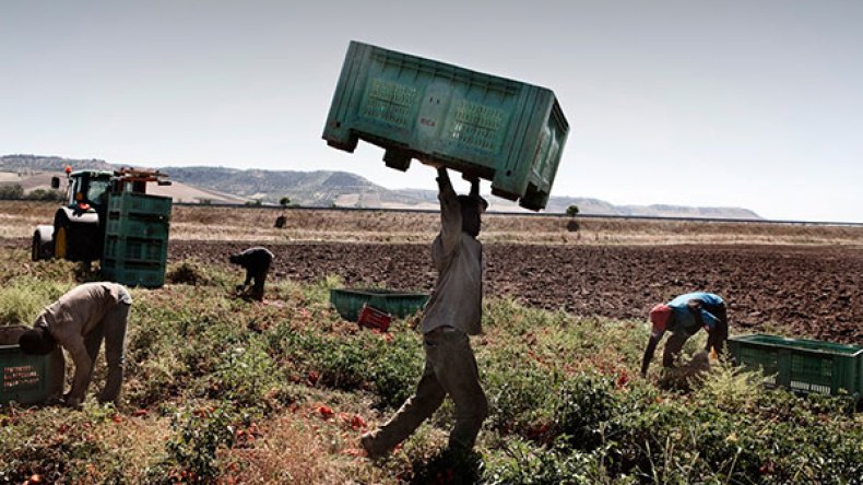 30 ألف “وظيفة” للجزائريين في إيطاليا