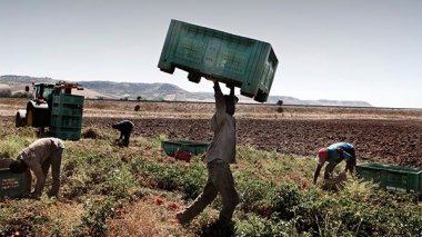 Over 30,000 jobs for Algerians in Italy