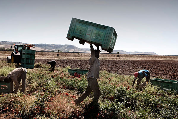 Over 30,000 jobs for Algerians in Italy