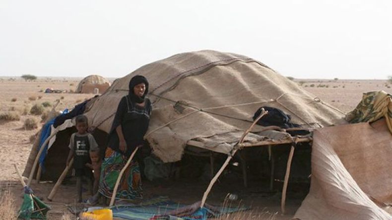 الإهمال ونقص الرعاية الصحية أهم مشاكل البدو الرحل بالوادي