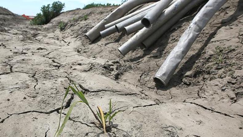 الجفاف “ينذر” بموسم كارثي في ولايات الشرق