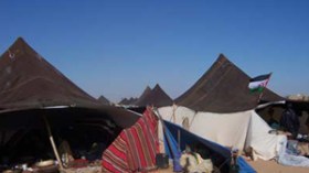 عضو في الكونغرس الأمريكي :الشعب الصحراوي له الحق في تقرير المصير