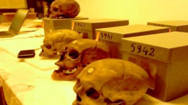 Politicians Who Betray The 1, November Revolution Will Be Unveiled By History