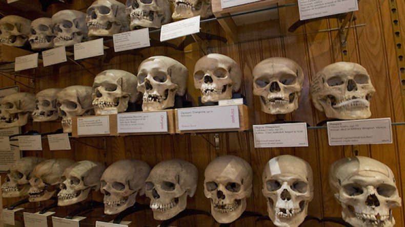 تسليم جماجم المقاومين للجزائر ممنوع حاليا بحكم القانون!