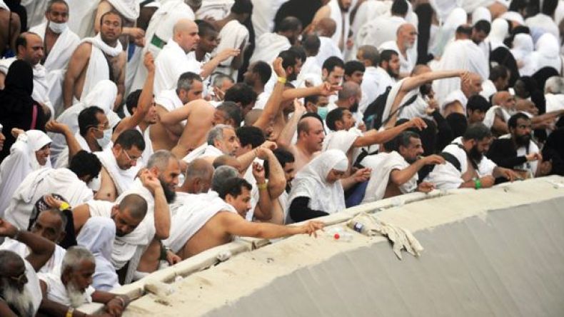 أمّة الإسلام متى ستتعلّم التّراحم والنّظام؟