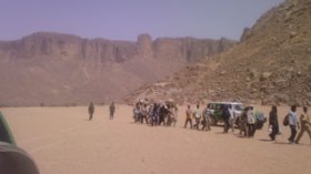 222 illegal immigrants arrested south of Algeria