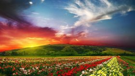 رمضان وجنّة الدّنيا