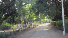 “المير” الأسبق لبلدية سيدي بلعباس يبيع حديقة التسلية بـ4 ملايير سنتيم!