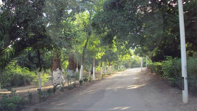 “المير” الأسبق لبلدية سيدي بلعباس يبيع حديقة التسلية بـ4 ملايير سنتيم!