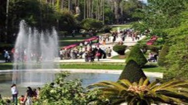 Journée portes ouvertes au Jardin d’essais du Hamma pour l’anniversaire de sa réouverture