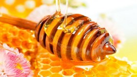 غذاء ملكات النحل وفوائده العديدة