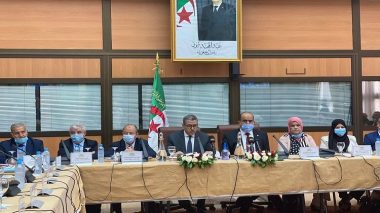 APN: Djerad présente le projet portant révision de la Constitution